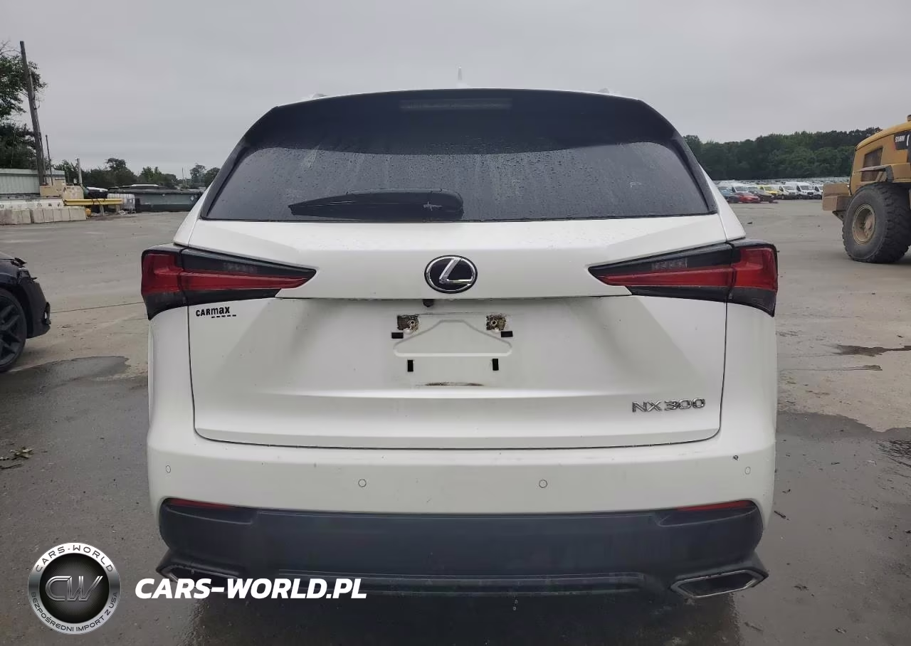 2020 Lexus Nx 300 Base VIN:JTJGARDZ7L5003815 - 6