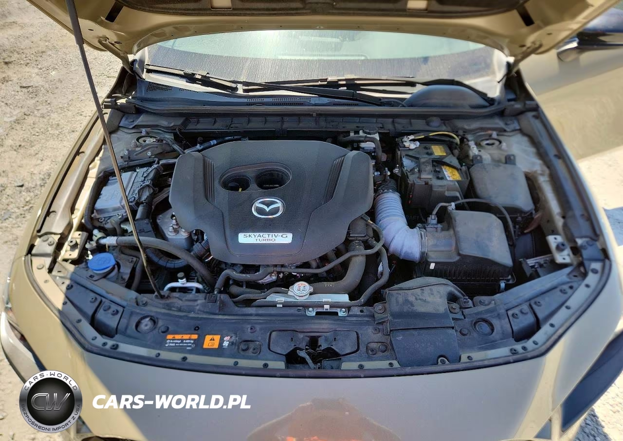 2024 Mazda 3 Carbon Turbo VIN:JM1BPBYY3R1714979 - 11