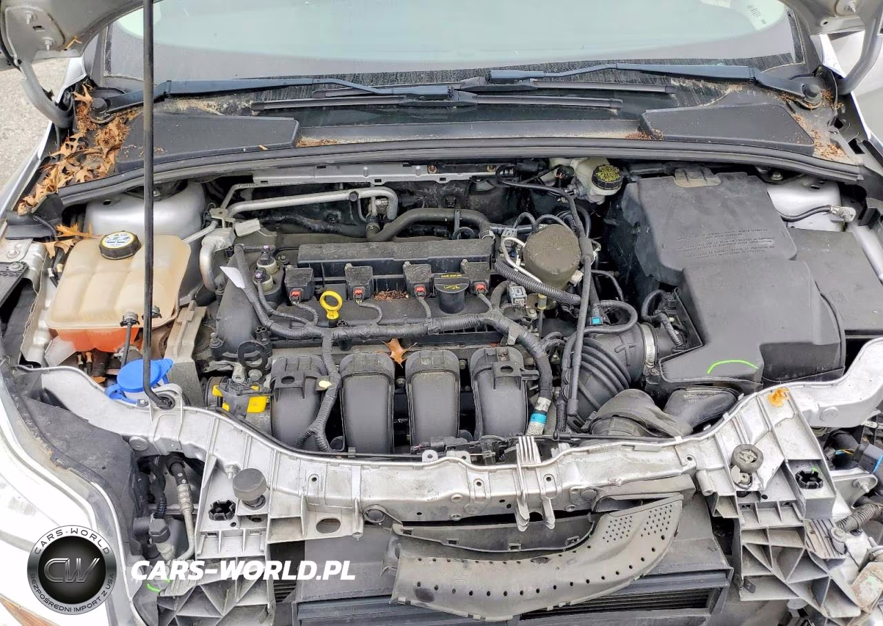 2013 Ford Focus Se VIN:1FADP3K21DL314103 - 12