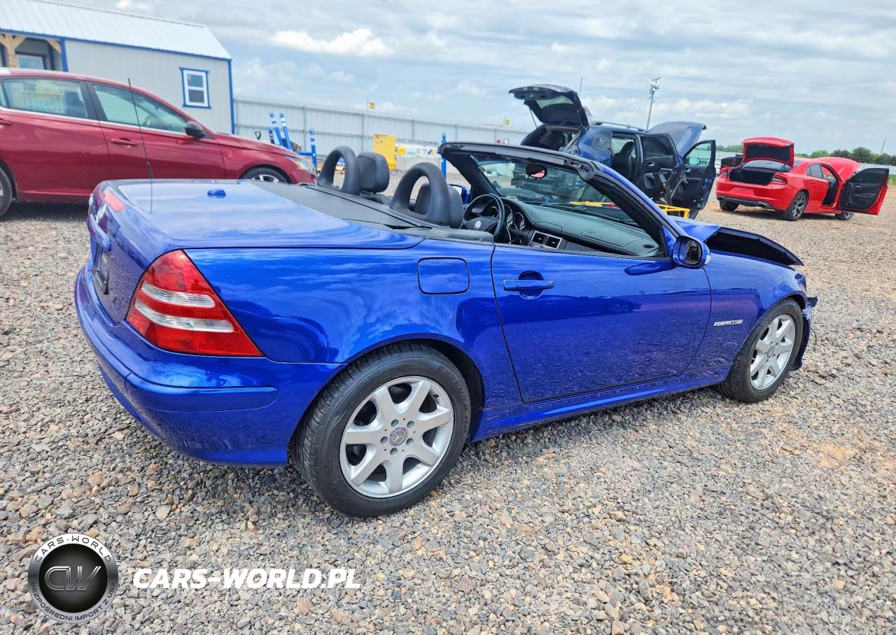 2003 Mercedes-Benz Slk 230 Kompressor VIN:WDBKK49F23F273183 - 3