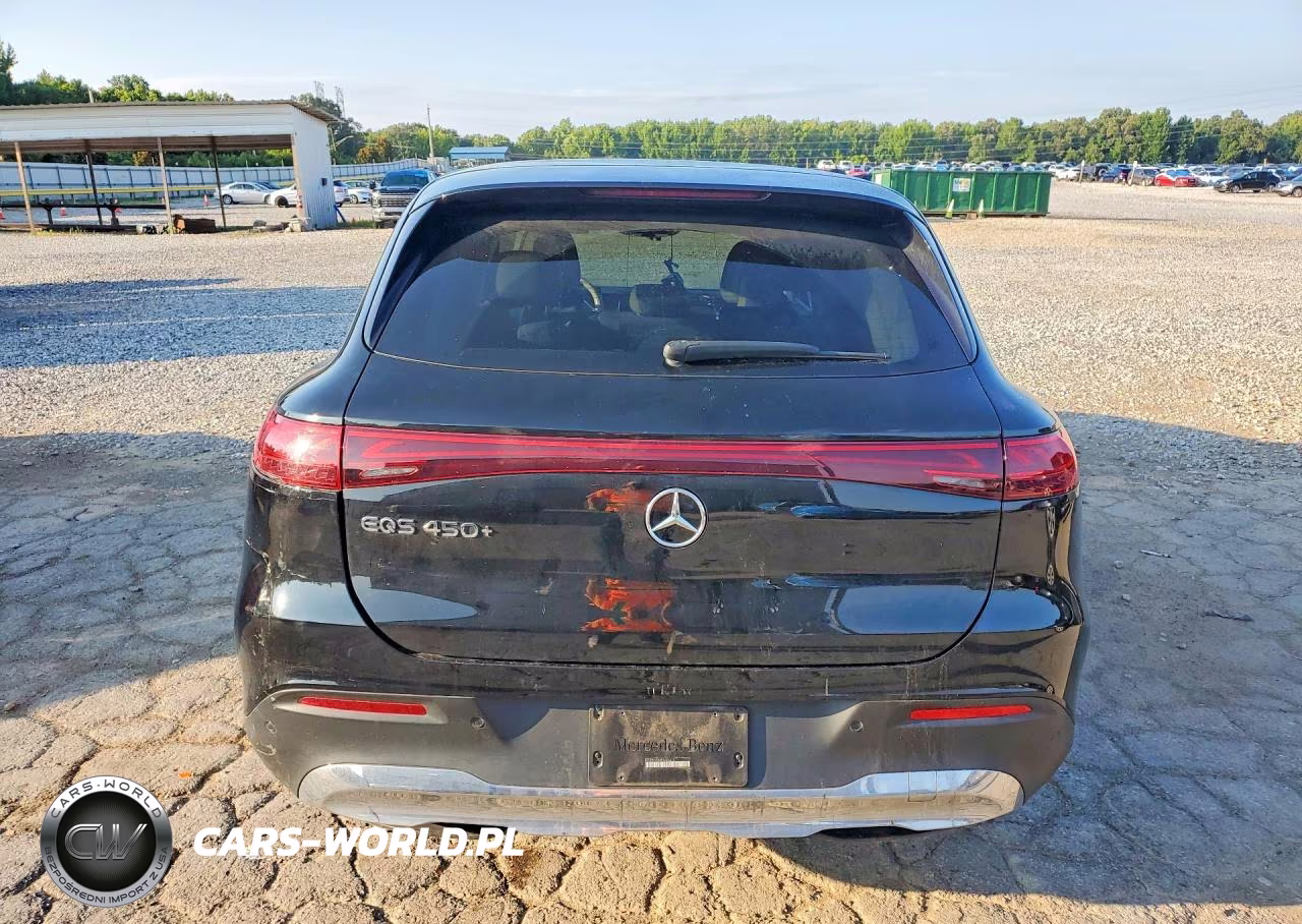 2023 Mercedes-Benz Eqs Suv 450+ VIN:4JGDM2DB4PA006610 - 6