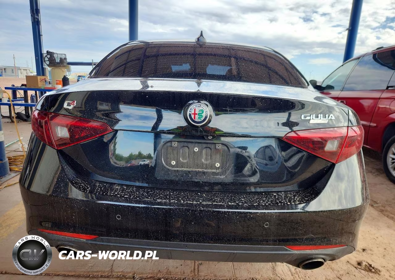 2018 Alfa Romeo Giulia Q4 VIN:ZARFAEDN2J7570817 - 6