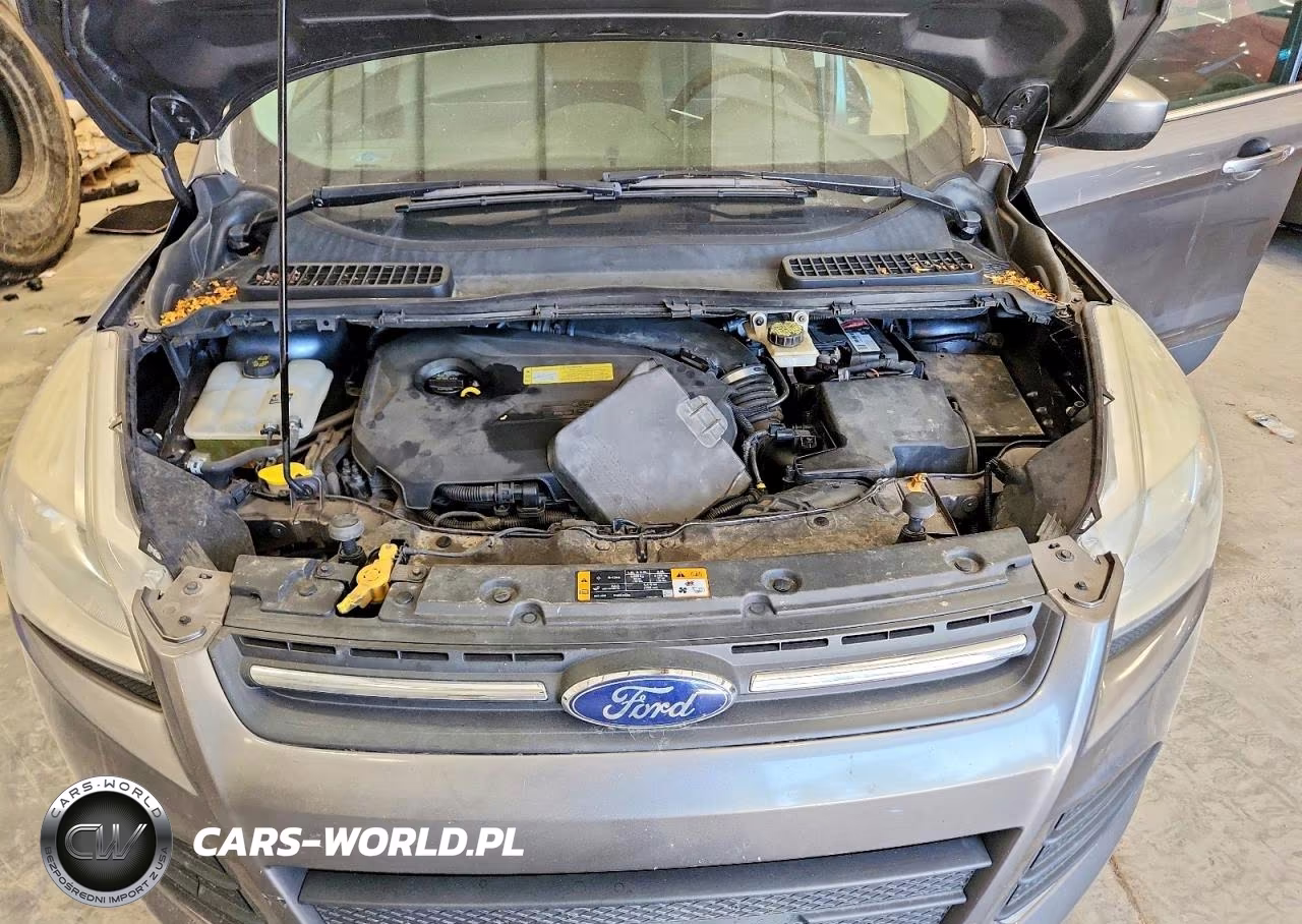 2013 Ford Escape Se VIN:1FMCU0GX8DUD65461 - 12