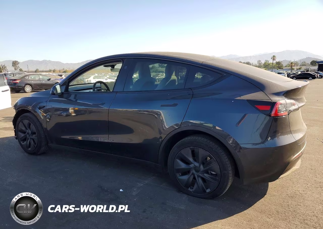 2025 Tesla Model Y VIN:7SAYGDEE8SF235022 - 2