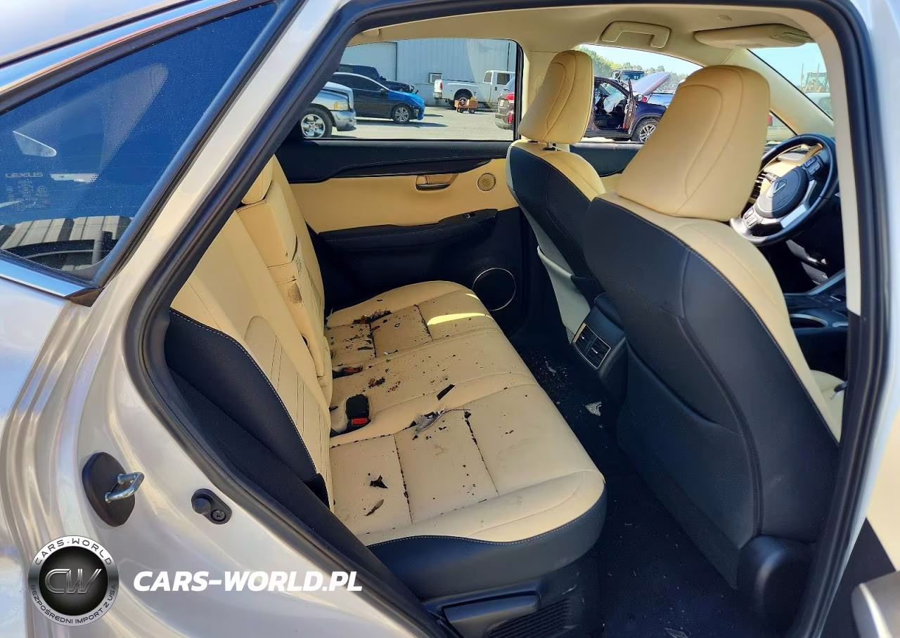 2021 Lexus Nx 300 VIN:JTJDARBZ9M5025466 - 10
