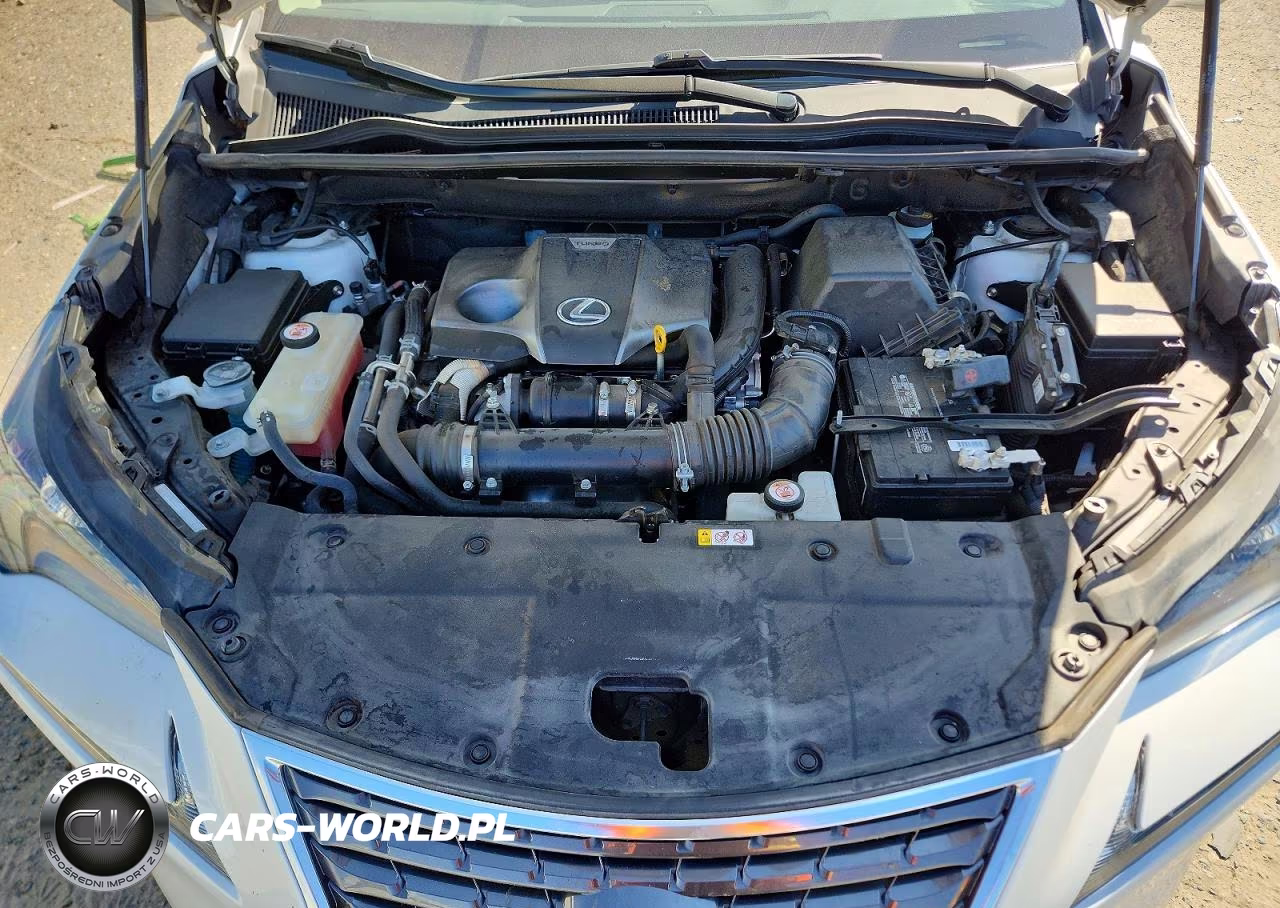 2021 Lexus Nx 300 VIN:JTJDARBZ9M5025466 - 11
