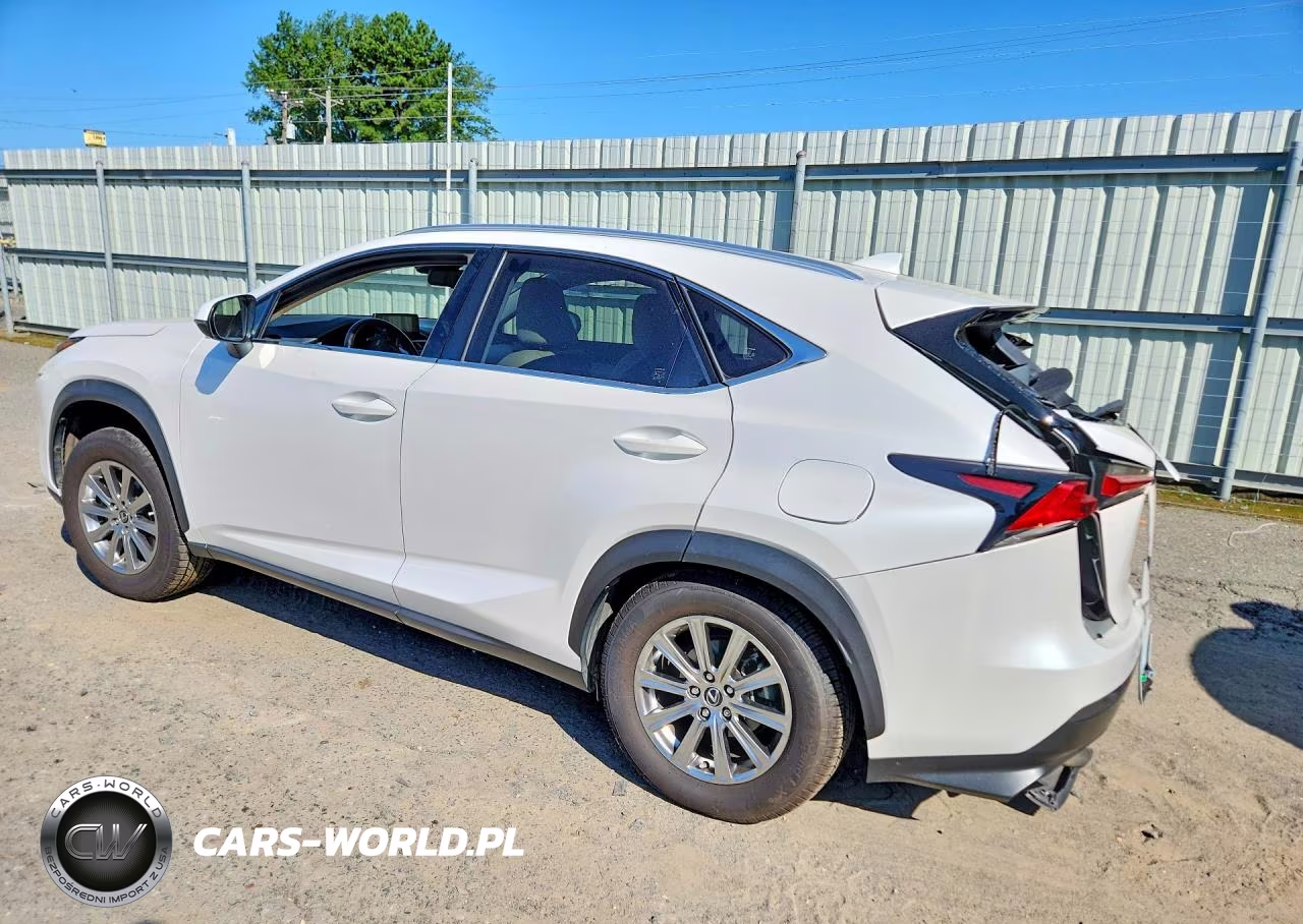 2021 Lexus Nx 300 VIN:JTJDARBZ9M5025466 - 2