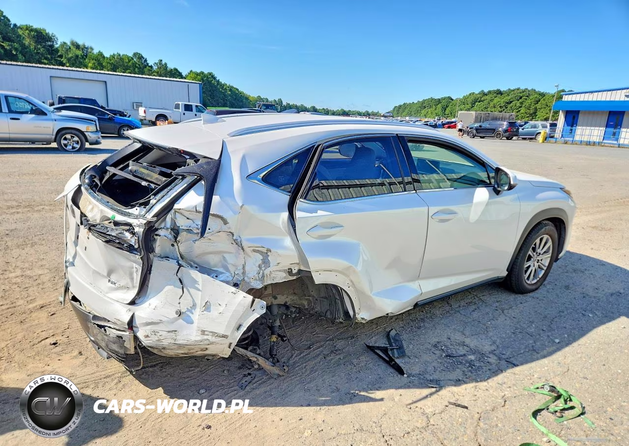 2021 Lexus Nx 300 VIN:JTJDARBZ9M5025466 - 3