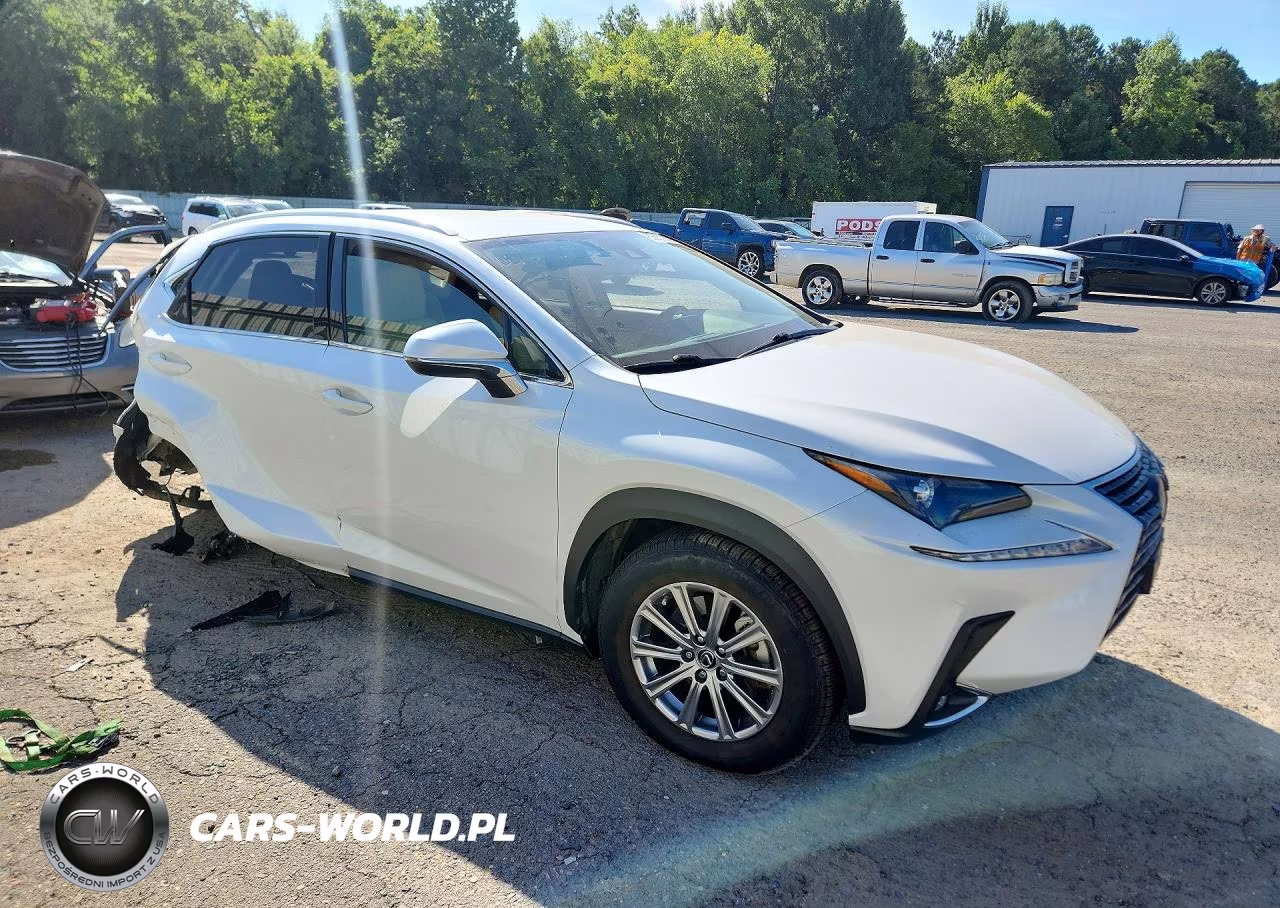 2021 Lexus Nx 300 VIN:JTJDARBZ9M5025466 - 4