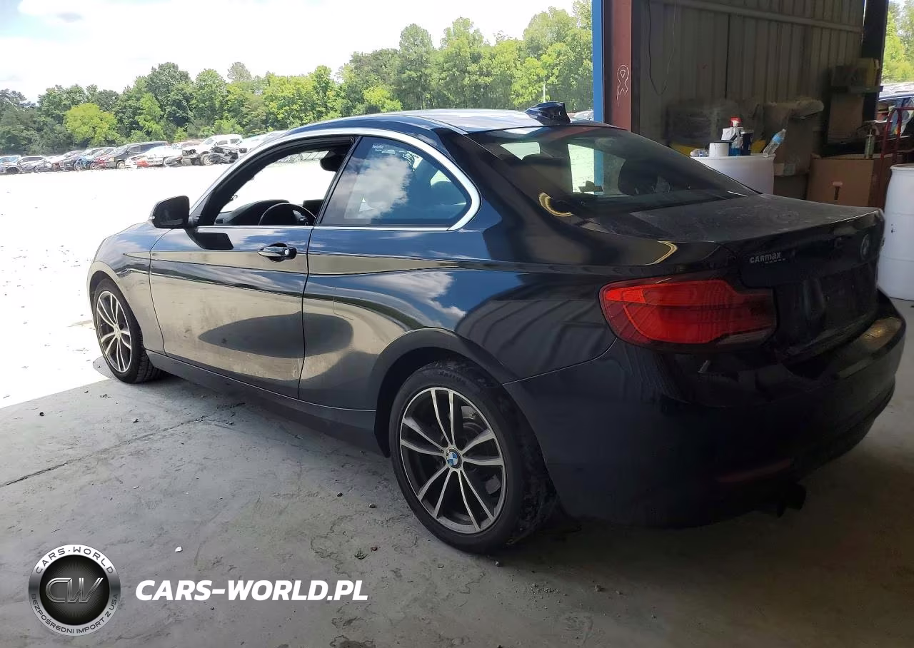 2019 BMW 230I VIN:WBA2J1C5XK7D20553 - 2