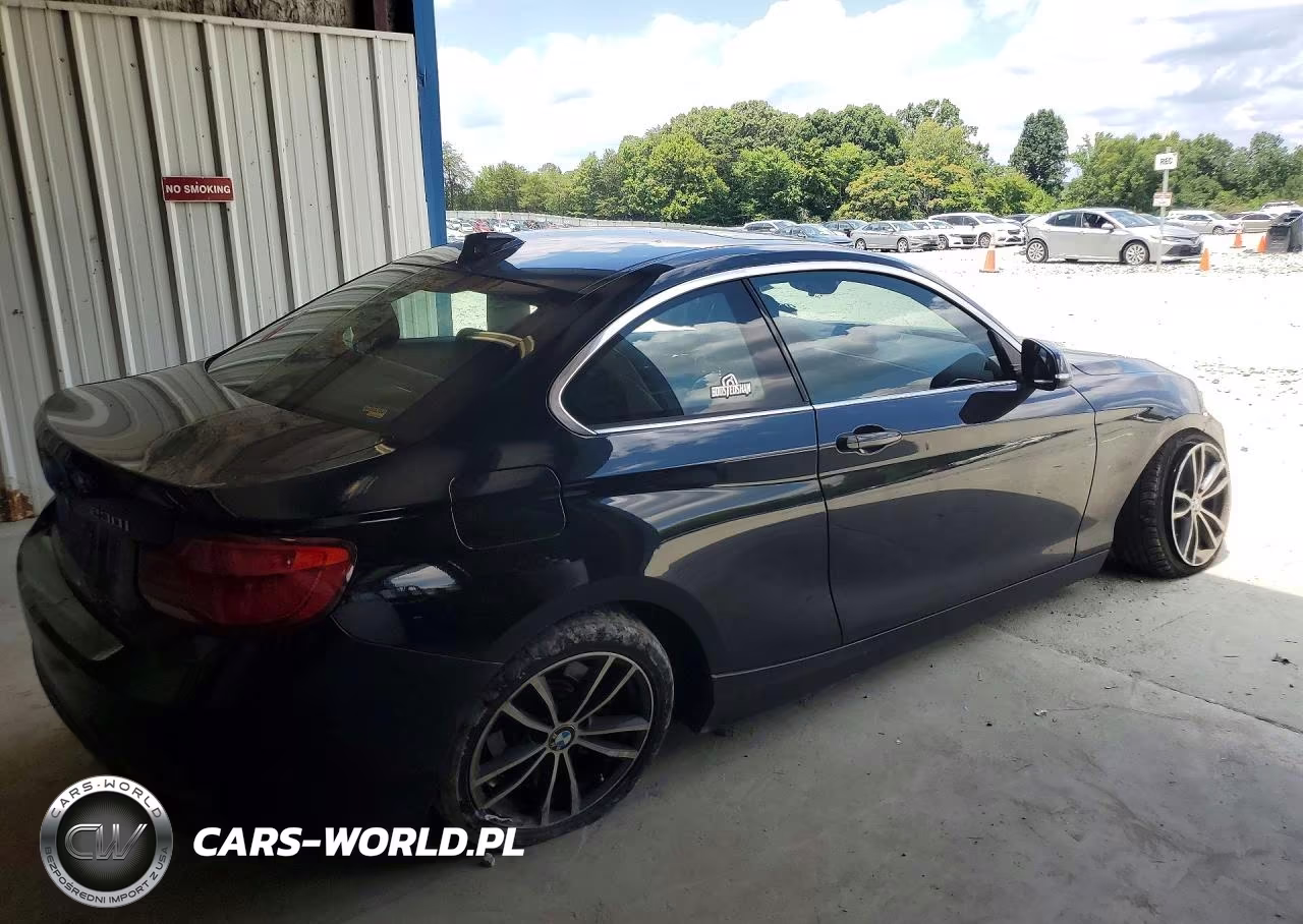 2019 BMW 230I VIN:WBA2J1C5XK7D20553 - 3