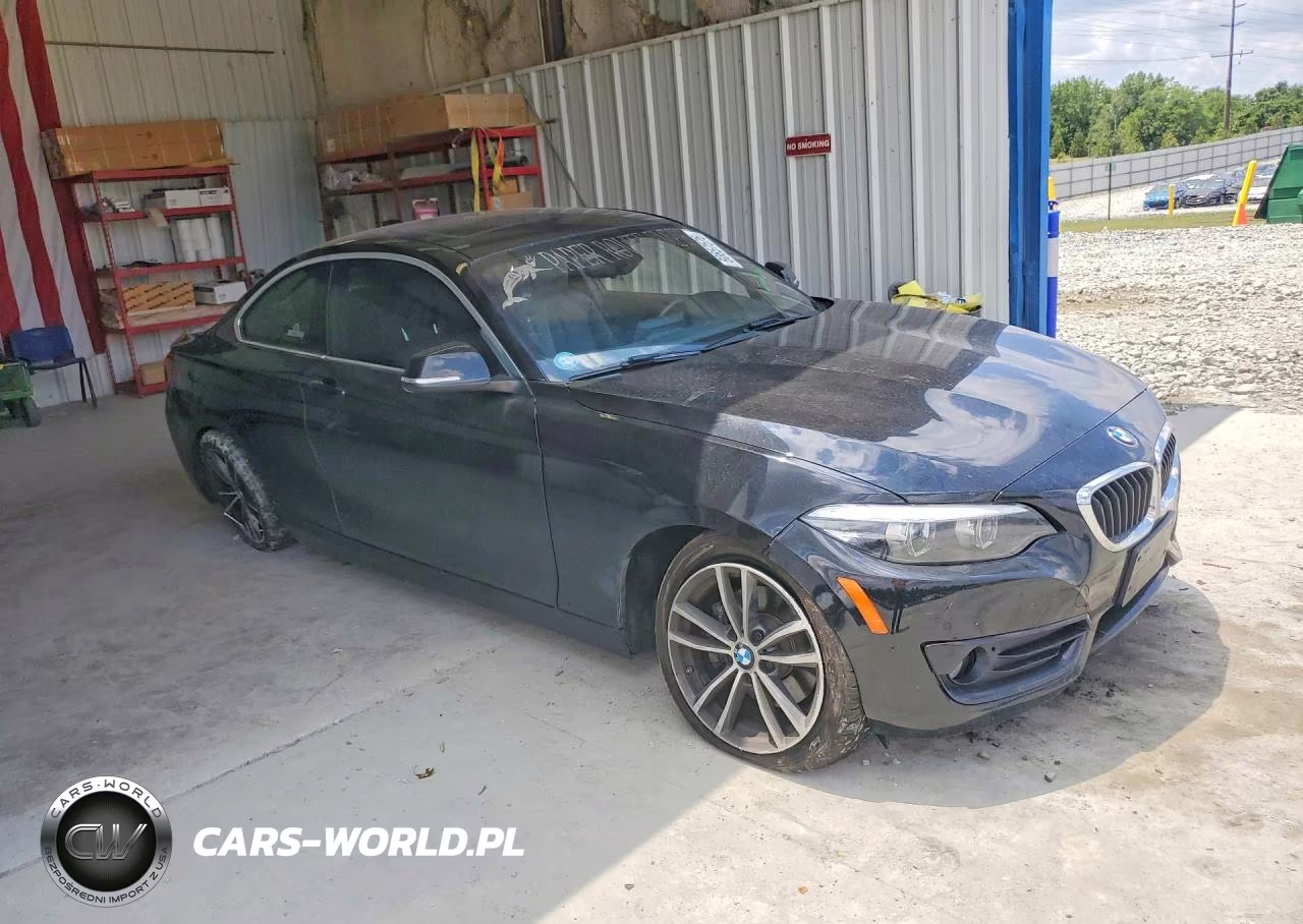 2019 BMW 230I VIN:WBA2J1C5XK7D20553 - 4