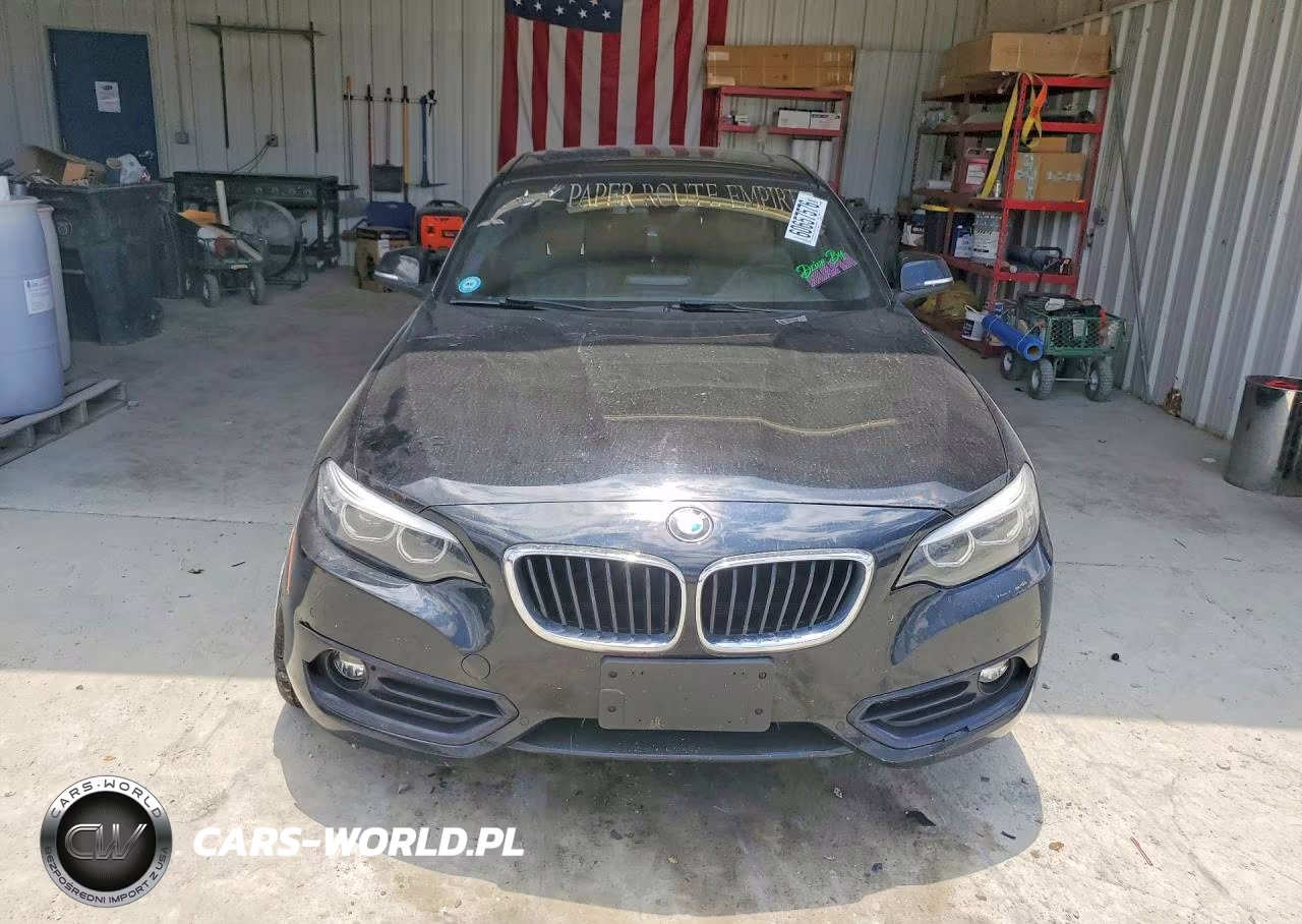 2019 BMW 230I VIN:WBA2J1C5XK7D20553 - 5