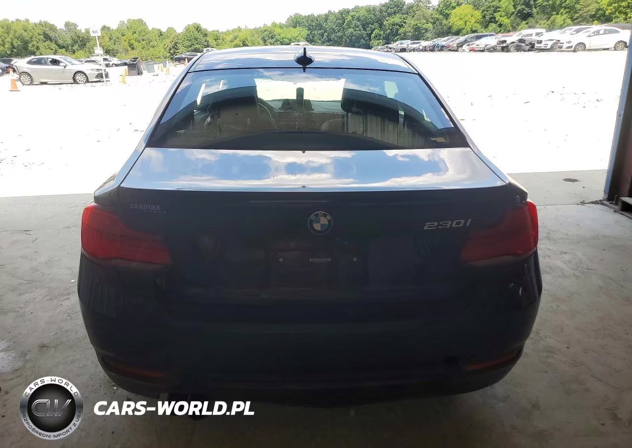 2019 BMW 230I VIN:WBA2J1C5XK7D20553 - 6