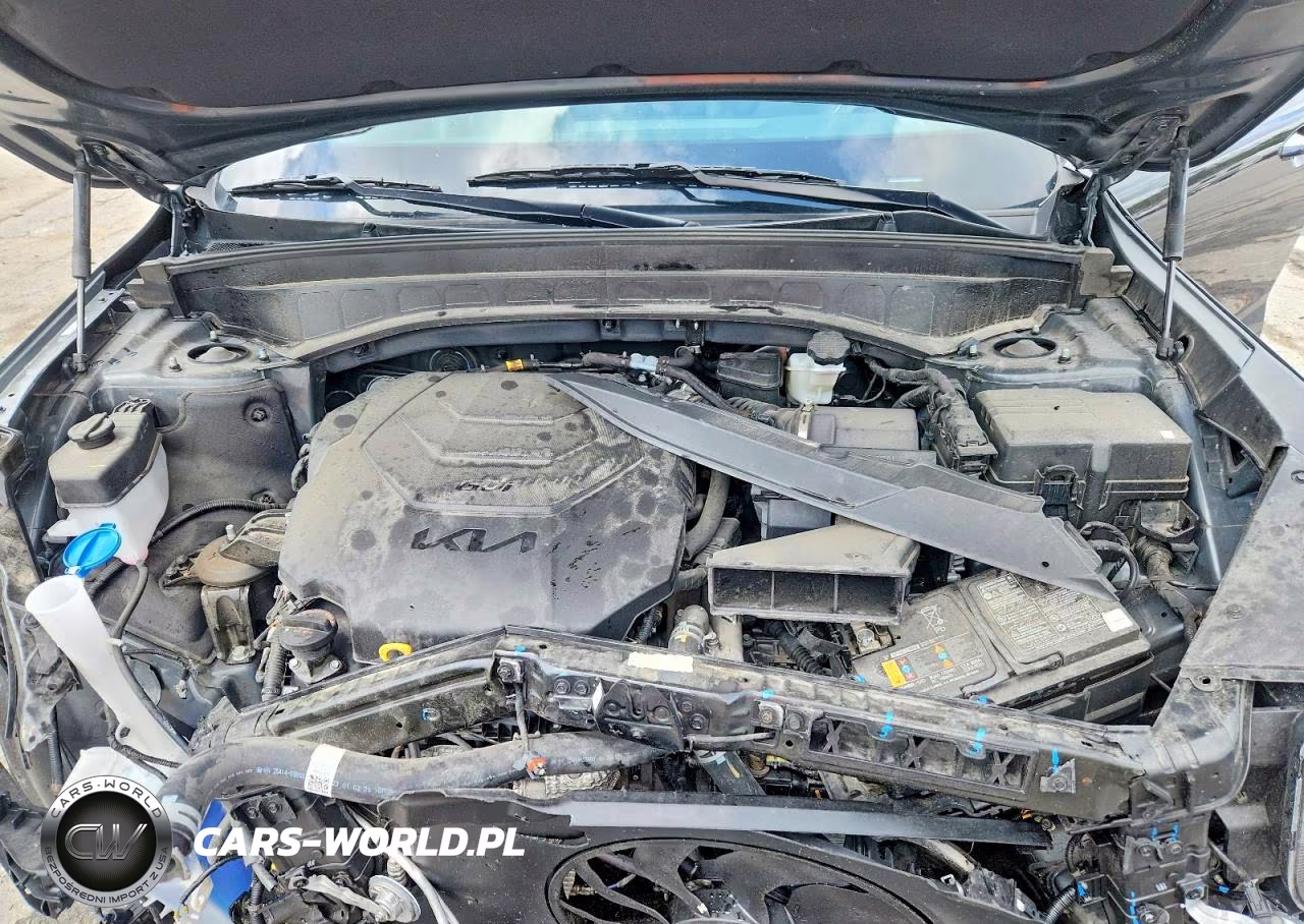 2025 Kia Telluride S VIN:5XYP6DGC7SG646489 - 12