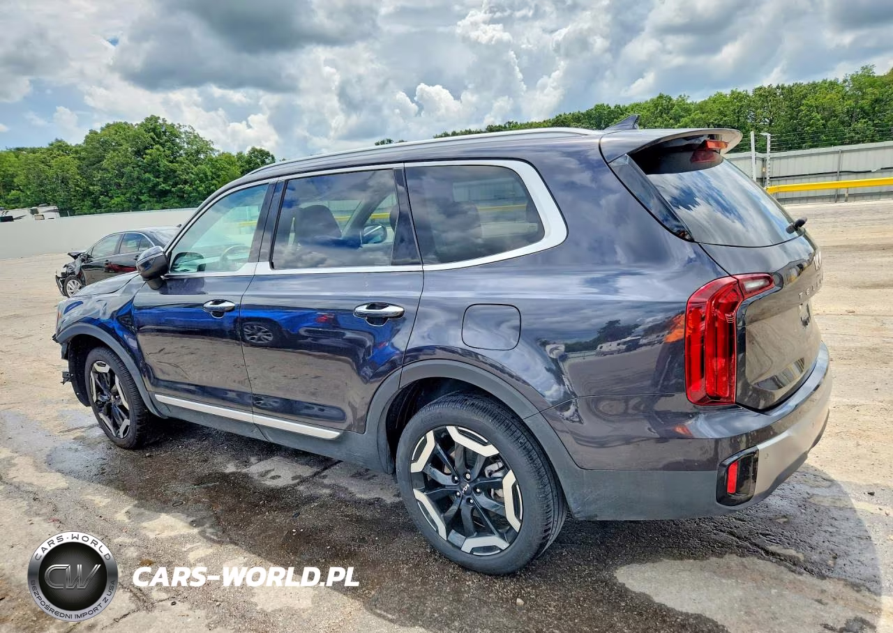 2025 Kia Telluride S VIN:5XYP6DGC7SG646489 - 2