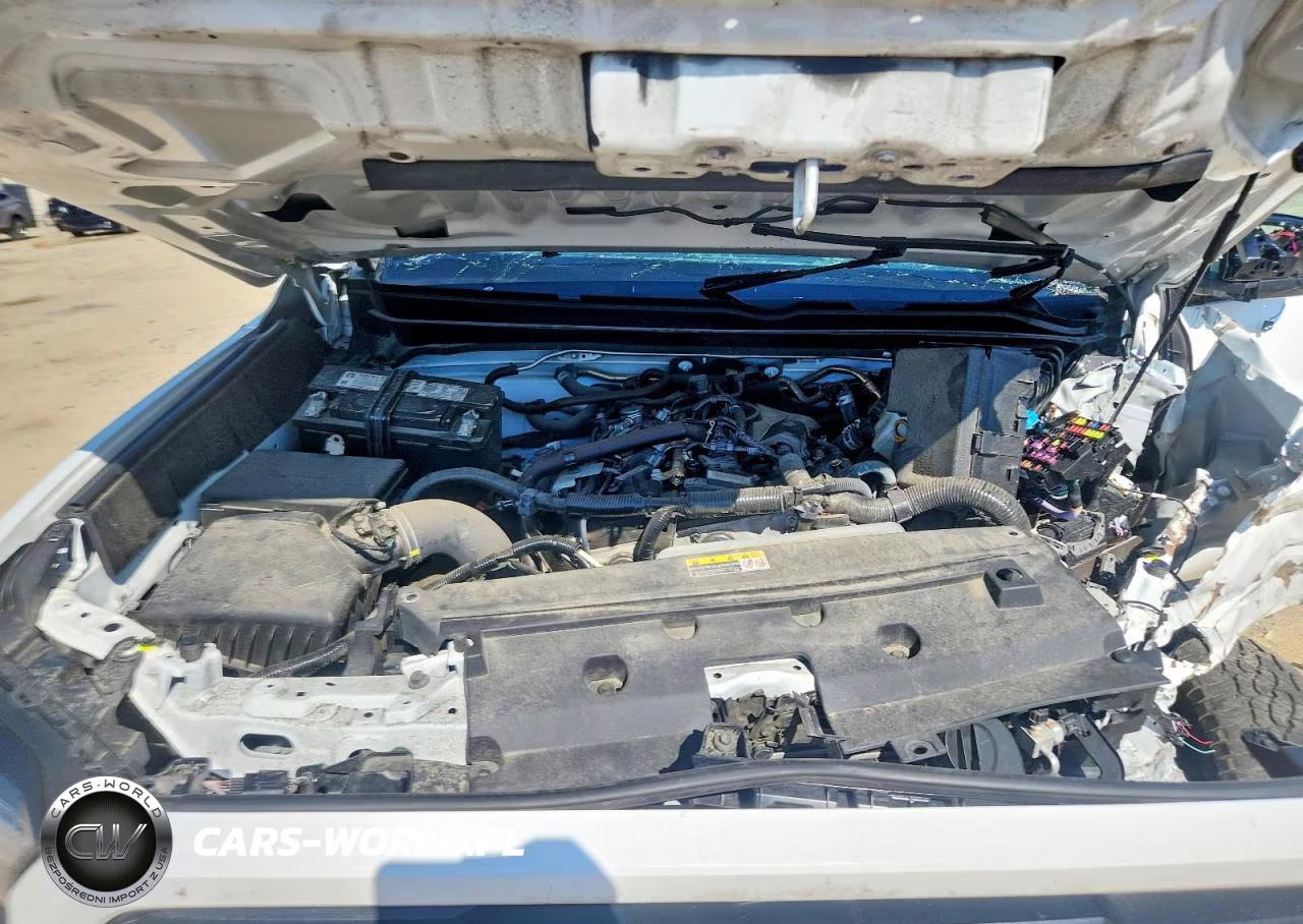 2024 Toyota Tacoma Trd Off-Road VIN:3TMLB5JN8RM054980 - 11