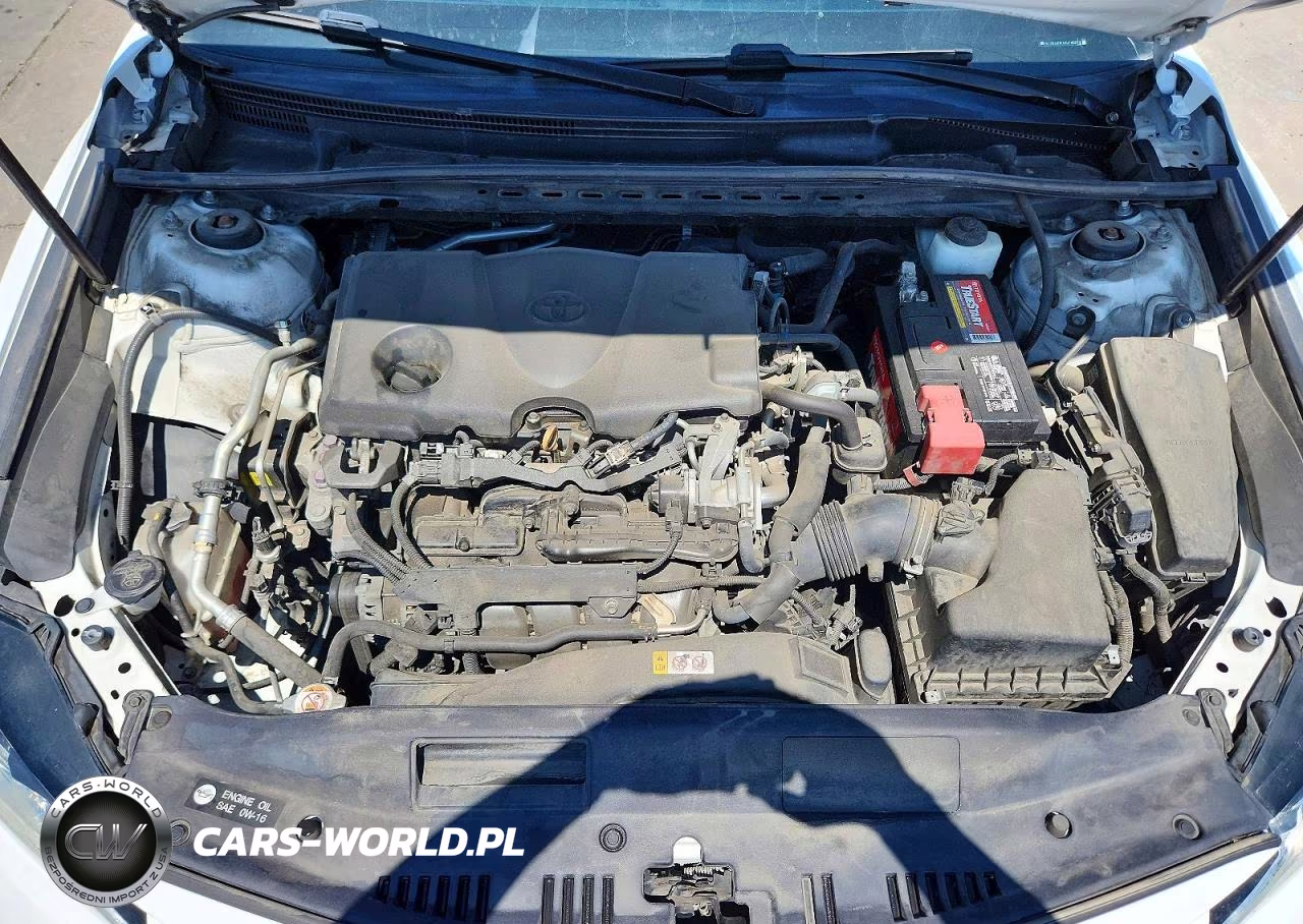 2019 Toyota Camry Le VIN:4T1B11HKXKU786947 - 11