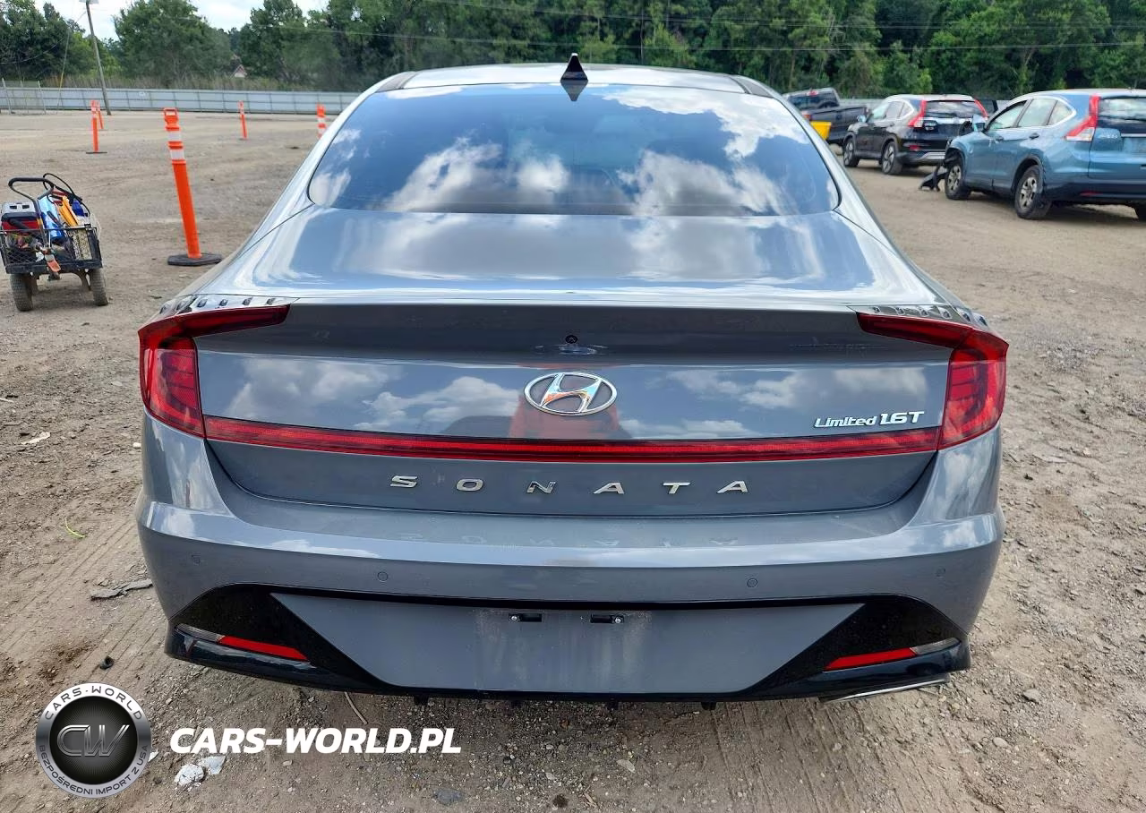 2020 Hyundai Sonata Limited VIN:5NPEH4J21LH010923 - 6