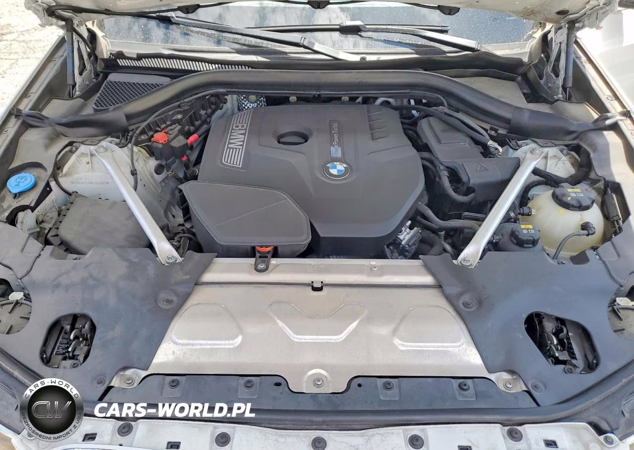 2019 BMW X3 Sdrive30I VIN:5UXTR7C5XKLR45041 - 12