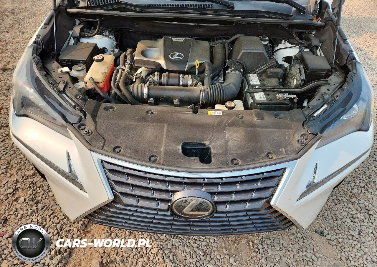 2019 Lexus Nx 300 Base VIN:JTJBARBZXK2210163 - 12