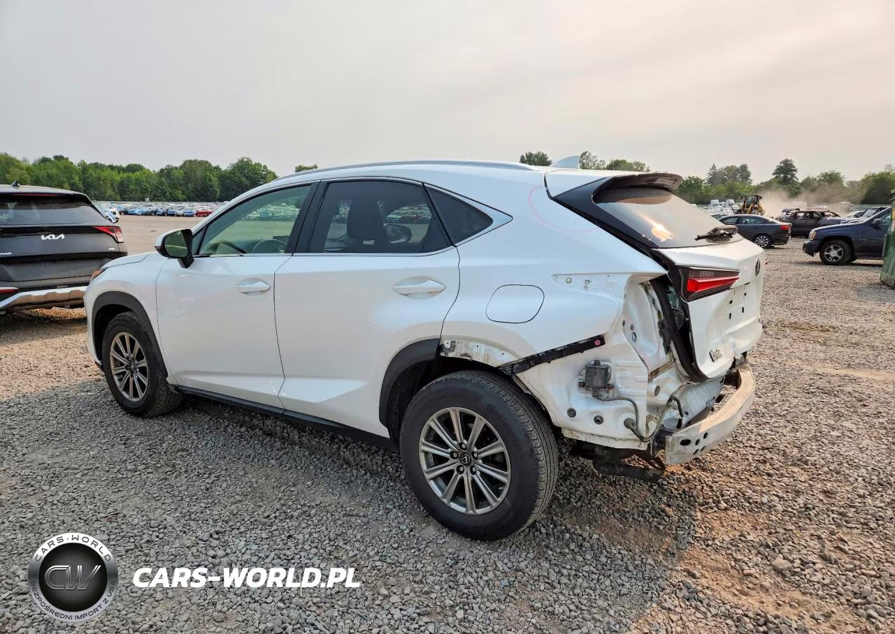 2019 Lexus Nx 300 Base VIN:JTJBARBZXK2210163 - 2