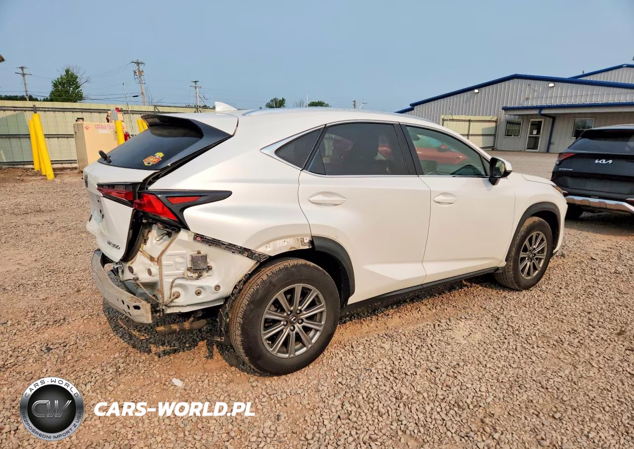 2019 Lexus Nx 300 Base VIN:JTJBARBZXK2210163 - 3