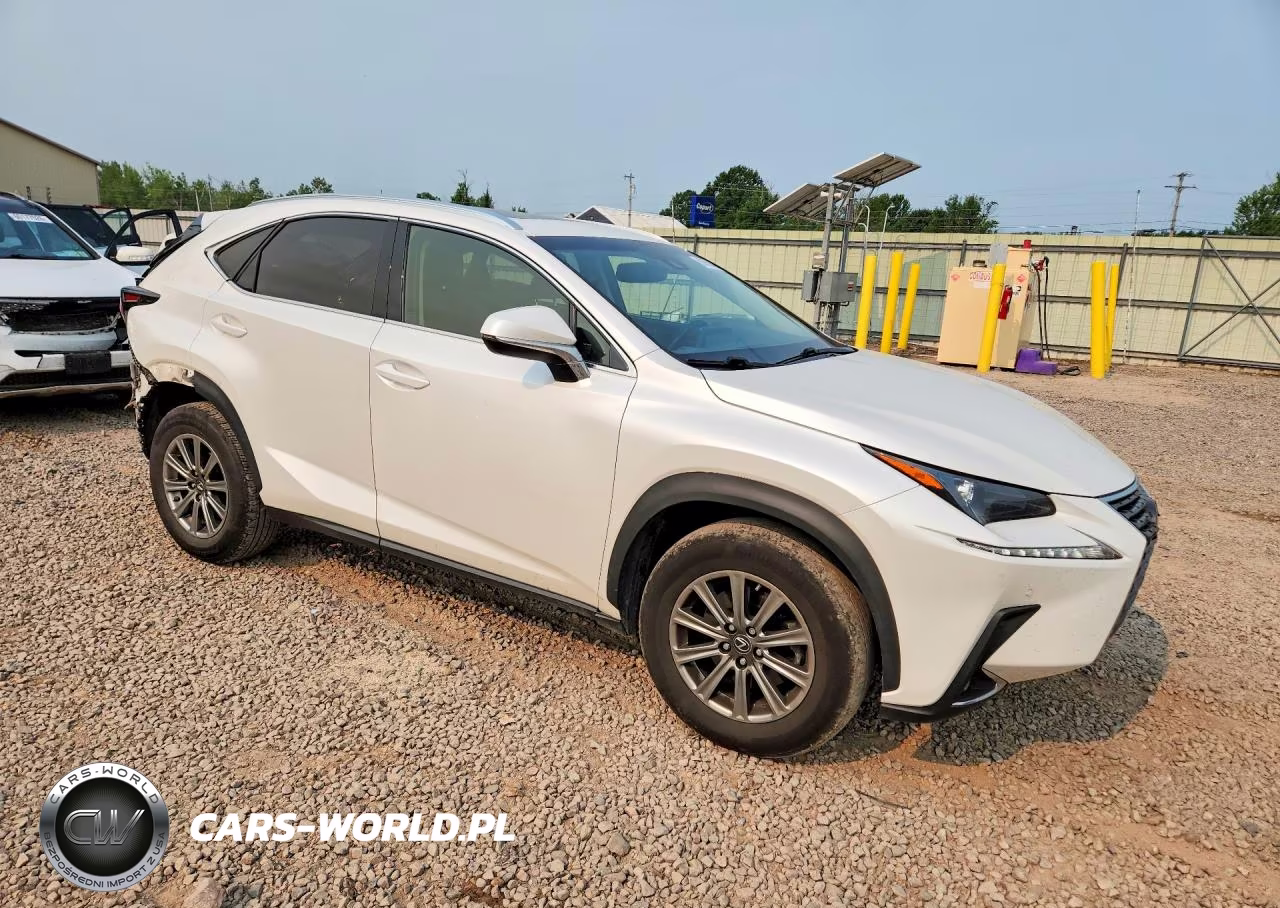 2019 Lexus Nx 300 Base VIN:JTJBARBZXK2210163 - 4