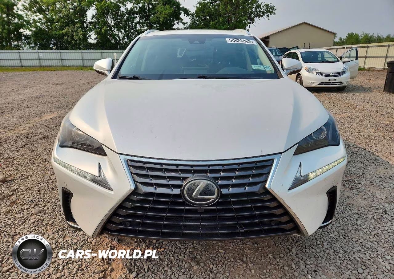 2019 Lexus Nx 300 Base VIN:JTJBARBZXK2210163 - 5
