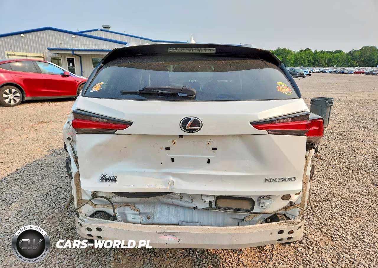 2019 Lexus Nx 300 Base VIN:JTJBARBZXK2210163 - 6