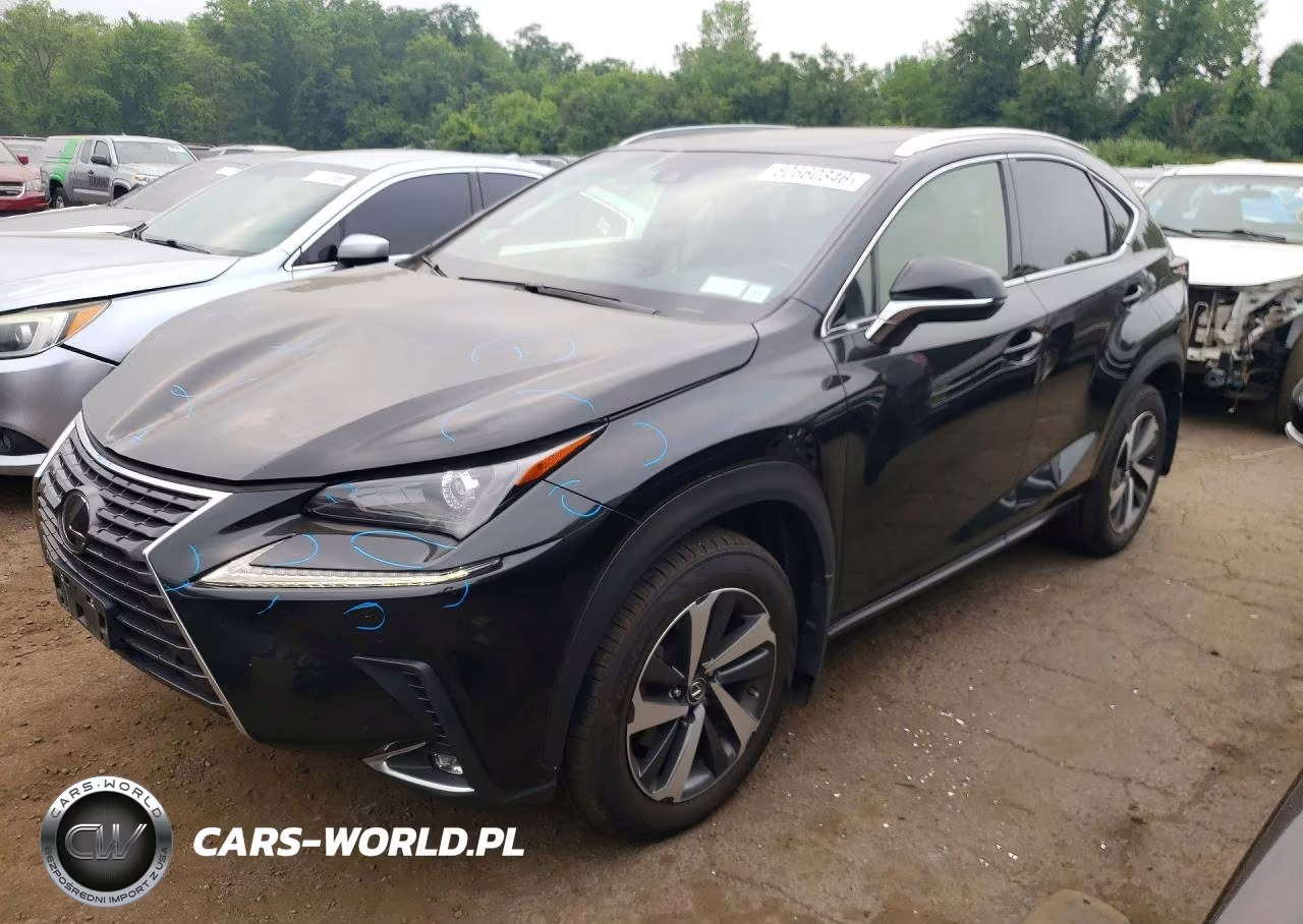 2019 Lexus Nx 300 Base