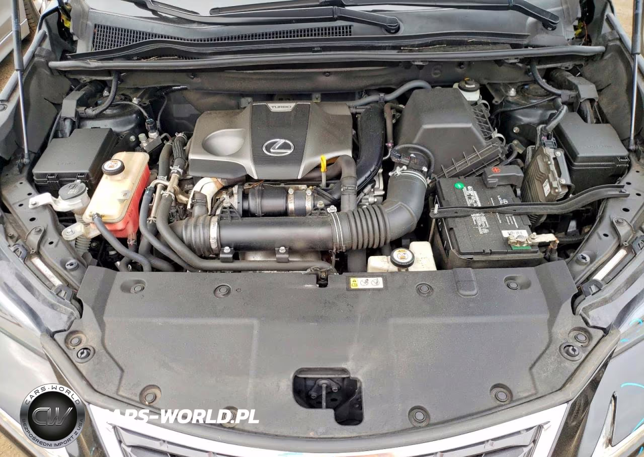 2019 Lexus Nx 300 Base VIN:JTJBARBZ0K2201813 - 12