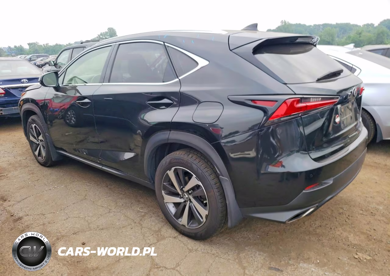 2019 Lexus Nx 300 Base VIN:JTJBARBZ0K2201813 - 2