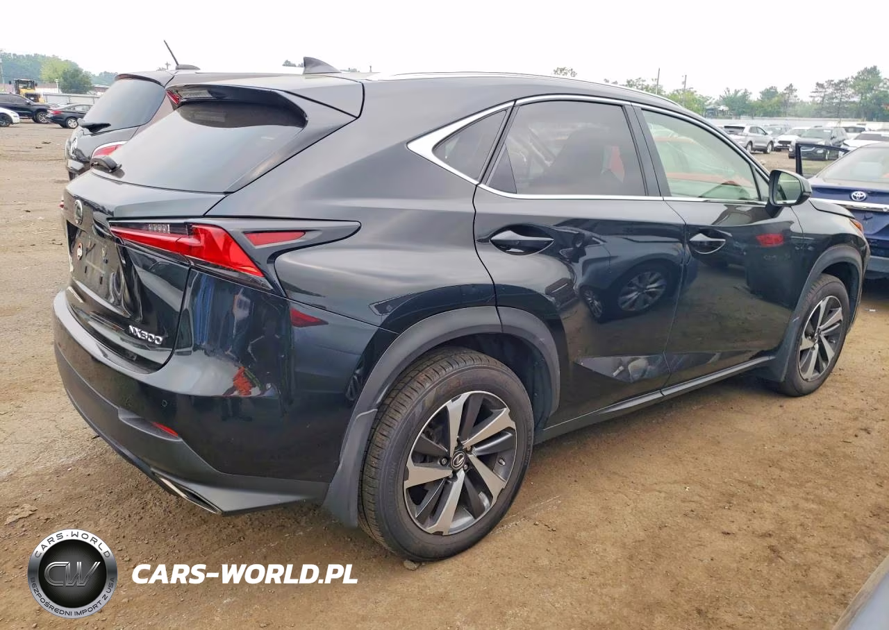 2019 Lexus Nx 300 Base VIN:JTJBARBZ0K2201813 - 3