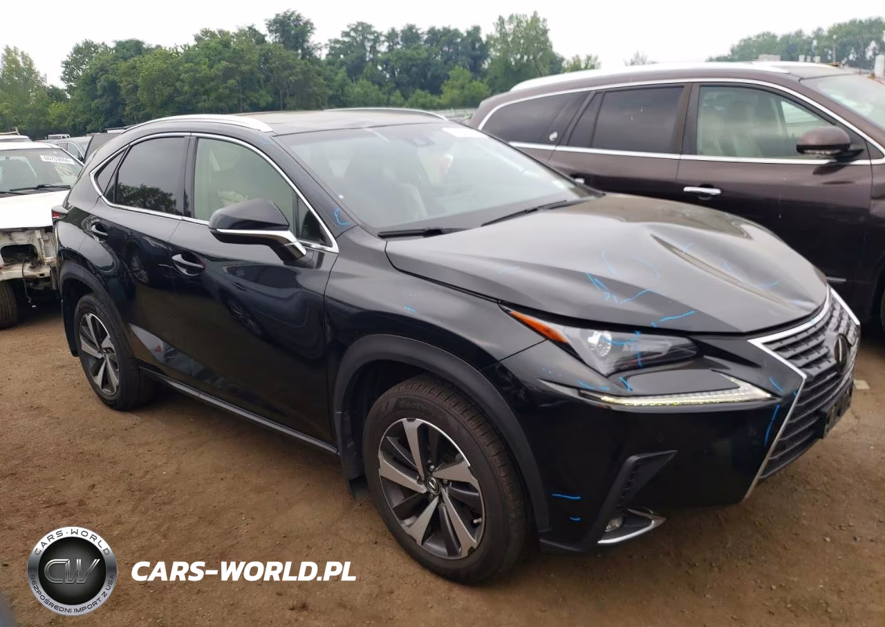 2019 Lexus Nx 300 Base VIN:JTJBARBZ0K2201813 - 4