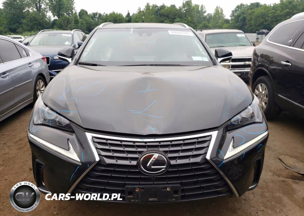 2019 Lexus Nx 300 Base VIN:JTJBARBZ0K2201813 - 5