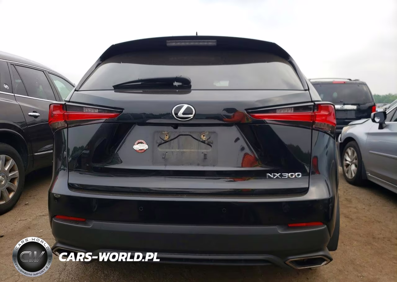 2019 Lexus Nx 300 Base VIN:JTJBARBZ0K2201813 - 6