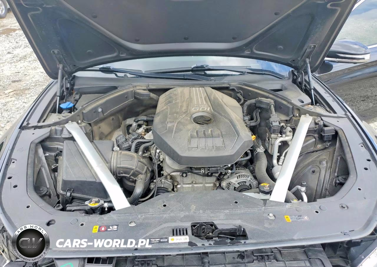 2019 Genesis G70 2.0T Advanced VIN:KMTG44LA1KU012492 - 11