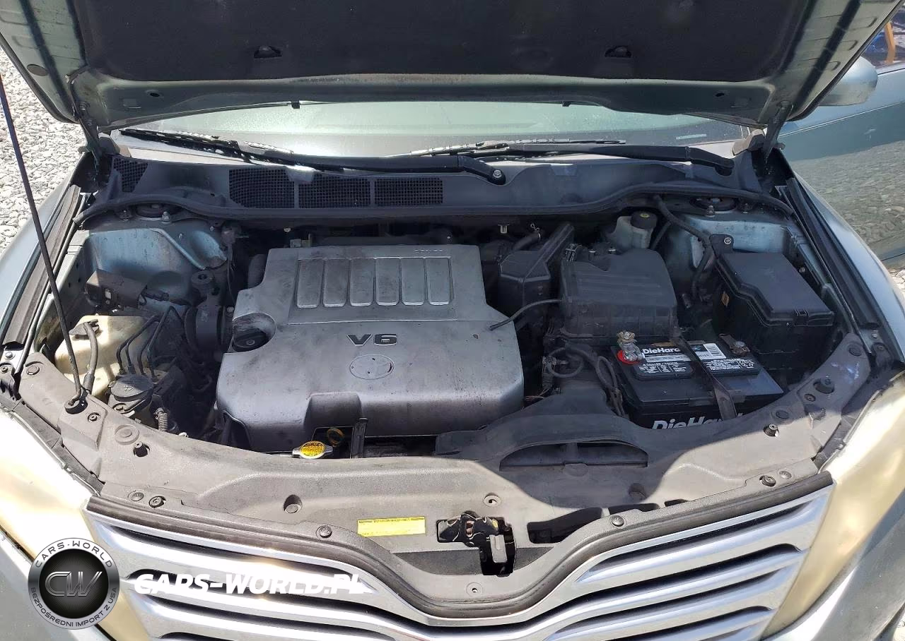 2009 Toyota Venza Fwd V6 VIN:4T3ZK11A29U018569 - 11