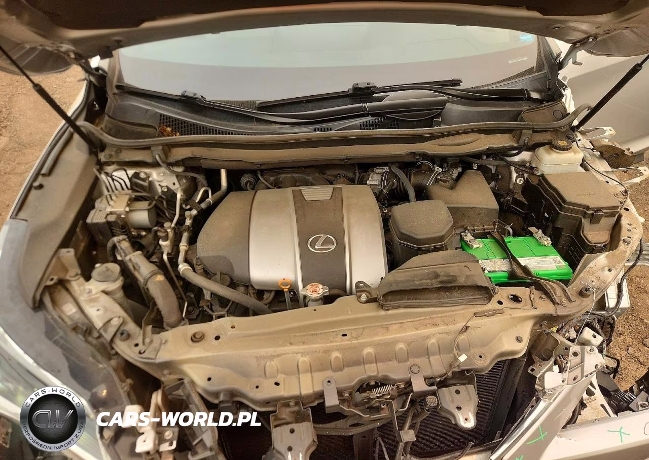 2019 Lexus Rx 350 F Sport VIN:2T2BZMCA3KC181108 - 12