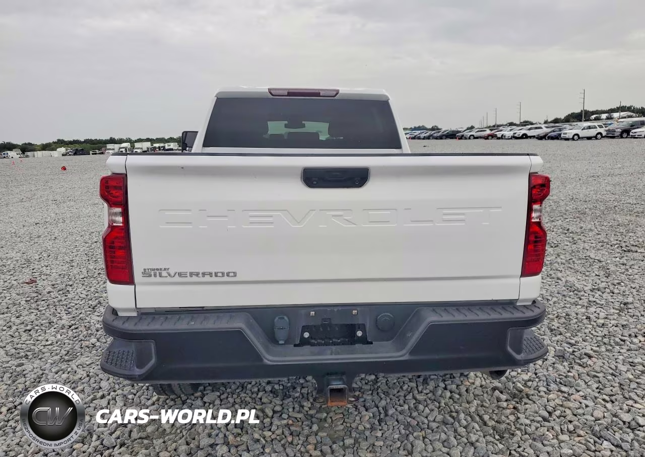 2024 Chevrolet Silverado K2500 Heavy Duty VIN:2GC4YLEY4R1169658 - 6