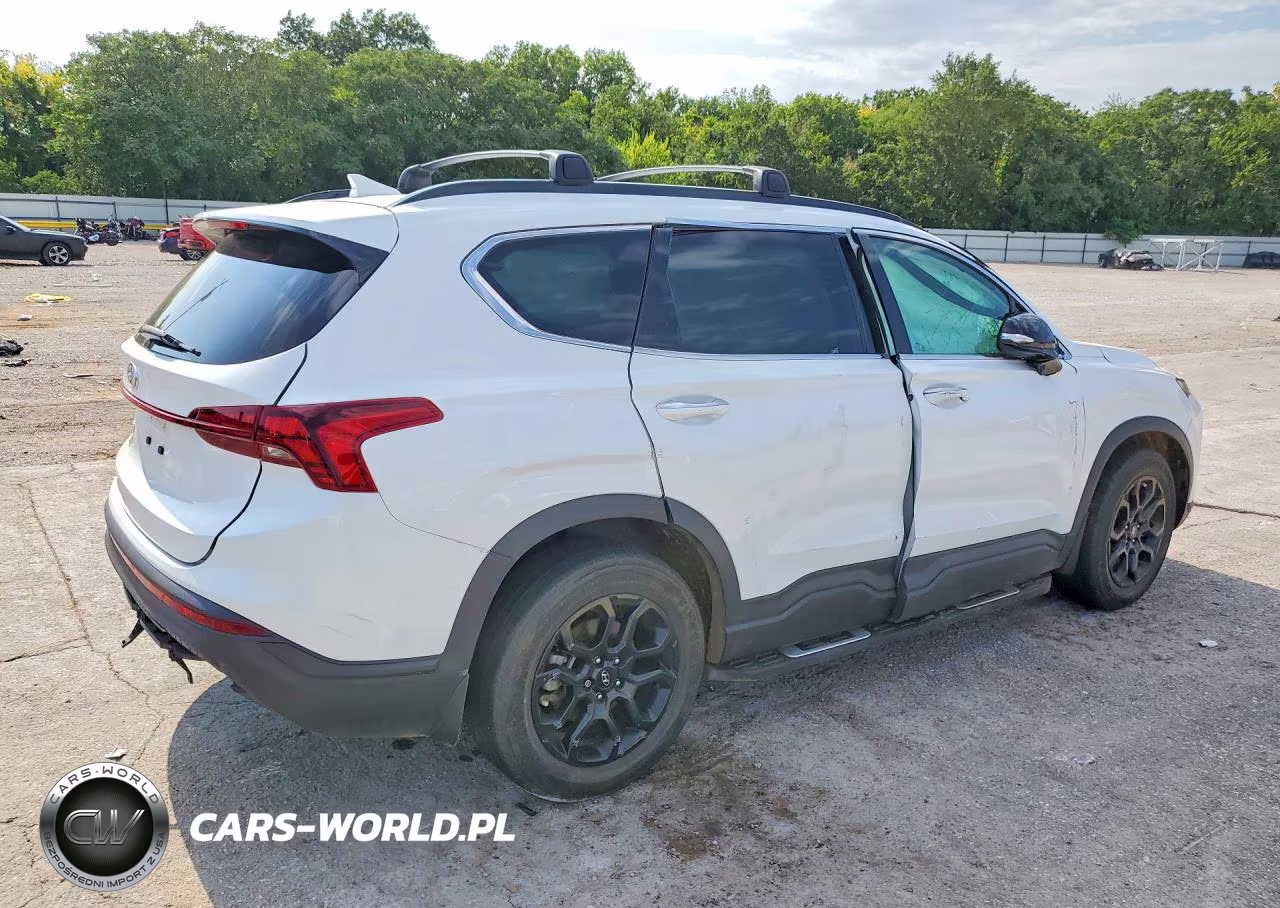 2022 Hyundai Santa Fe Xrt VIN:5NMS64AJ5NH394348 - 3