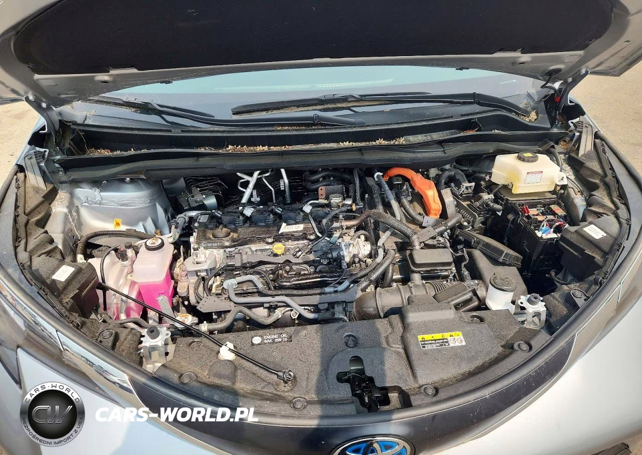 2025 Toyota Sienna Xle 7-Passenger VIN:5TDJSKFC4SS182037 - 12