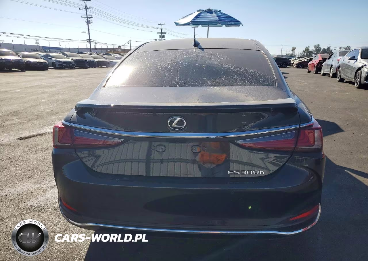 2025 Lexus Es 300H Base VIN:58ADA1C19SU068578 - 6