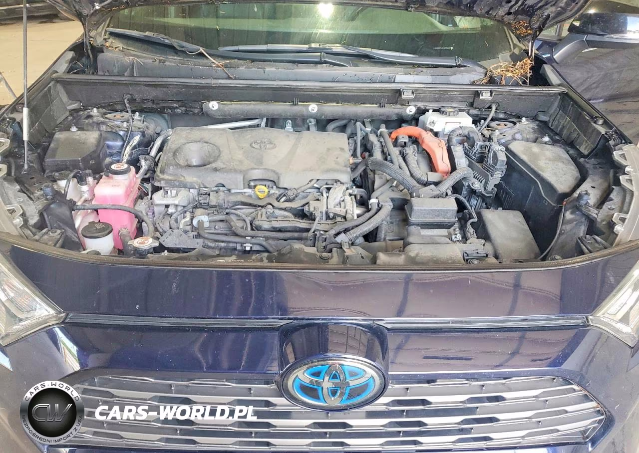 2019 Toyota Rav4 Xse VIN:JTMEWRFV8KJ022644 - 12