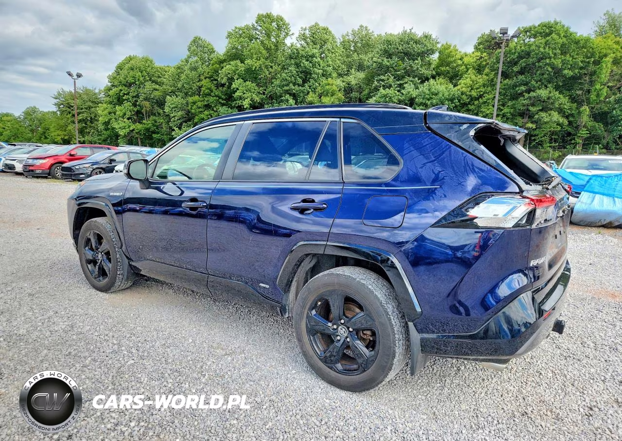 2019 Toyota Rav4 Xse VIN:JTMEWRFV8KJ022644 - 2