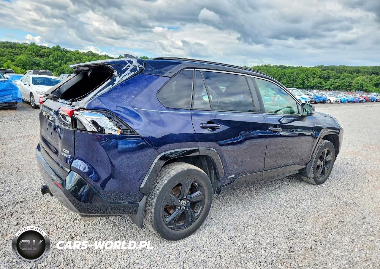 2019 Toyota Rav4 Xse VIN:JTMEWRFV8KJ022644 - 3