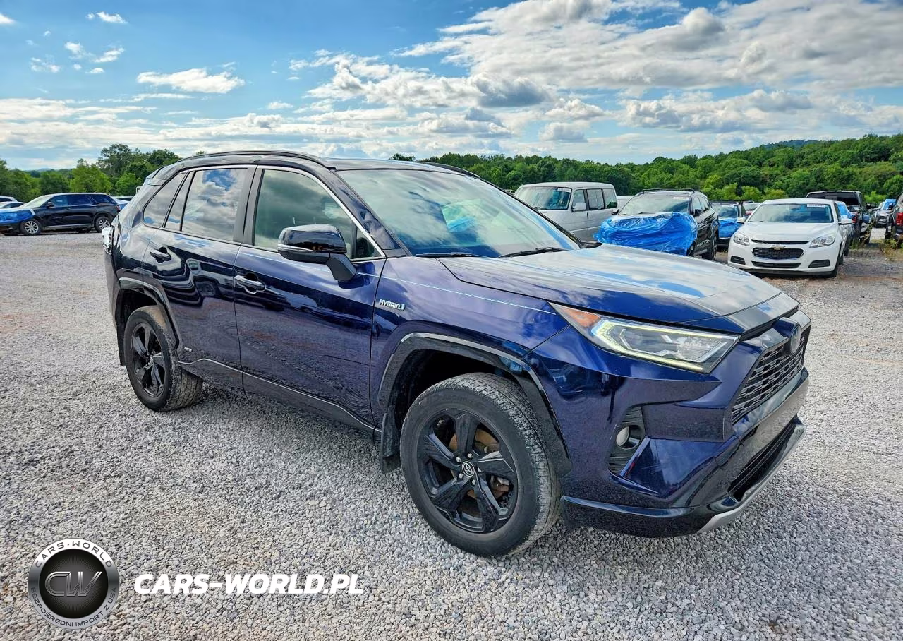 2019 Toyota Rav4 Xse VIN:JTMEWRFV8KJ022644 - 4