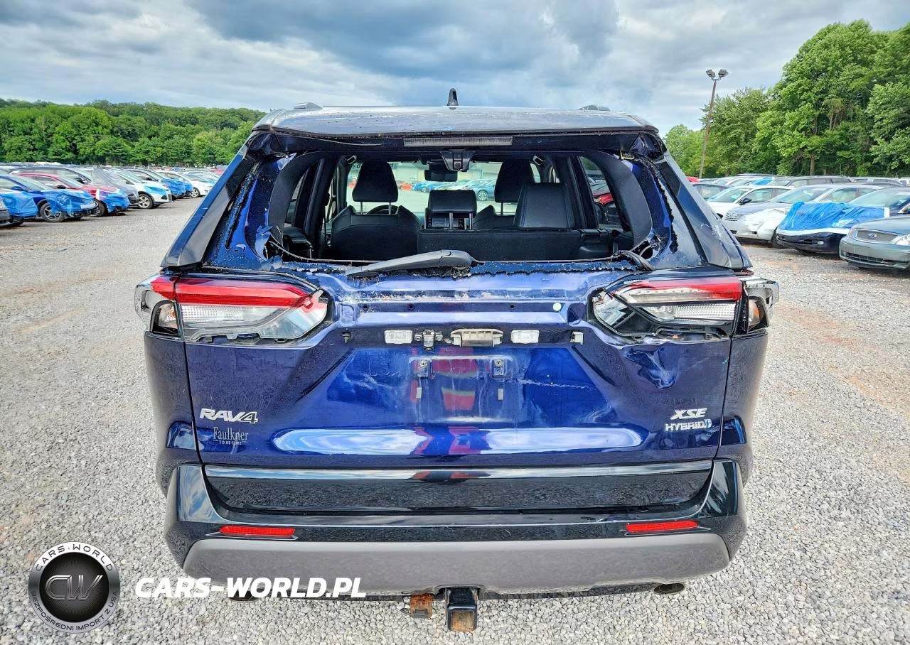 2019 Toyota Rav4 Xse VIN:JTMEWRFV8KJ022644 - 6