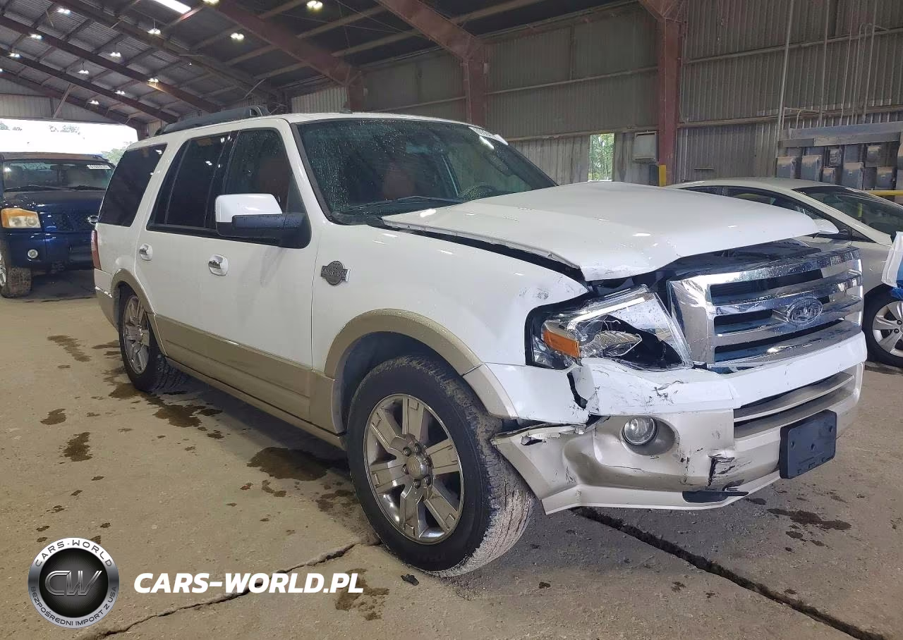 2009 Ford Expedition Eddie Bauer VIN:1FMFU17559EA71647 - 4